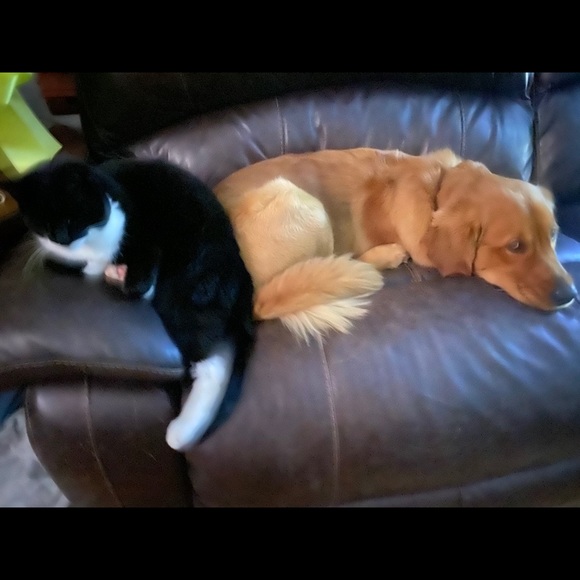 Meet your Part time Posher, full time zoo keeper - Picture 4 of 15